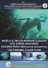 Muğla İli Milas-Bodrum İlçeleri Kıyı Şeridi Dahilinde Akdeniz Foku (Monachus monachus) Tür Koruma Eylem Planı