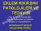 EKLEM KIKIRDAK PATOLOJİLERİ VE TEDAVİSİ