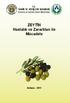 T.C. TARIM VE KÖYİŞLERİ BAKANLIĞI Koruma ve Kontrol Genel Müdürlüğü. ZEYTİN Hastalık ve Zararlıları ile Mücadele