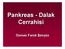 Pankreas - Dalak Cerrahisi. Osman Faruk Şenyüz