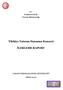 Türkiye Yatırım Danışma Konseyi İLERLEME RAPORU