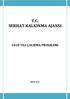 T.C. SERHAT KALKINMA AJANSI 2010 YILI ÇALIŞMA PROGRAMI