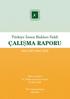 TÜRKİYE insan HAKLARI VAKFI ÇALIŞMA RAPORU MART 2007-MART 2008