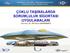 ÇOKLU TAŞIMALARDA SORUMLULUK SİGORTASI UYGULAMALARI Yrd. Doç. Dr. Nil KULA DEĞİRMENCİ YRD. DOÇ. DR. NİL KULA DEĞİRMENCİ