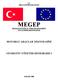 T.C. MİLLÎ EĞİTİM BAKANLIĞI MEGEP (MESLEKİ EĞİTİM VE ÖĞRETİM SİSTEMİNİN GÜÇLENDİRİLMESİ PROJESİ) MOTORLU ARAÇLAR TEKNOLOJİSİ