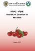 T.C. TARIM VE KÖYİŞLERİ BAKANLIĞI Koruma ve Kontrol Genel Müdürlüğü. KİRAZ - VİŞNE Hastalık ve Zararlıları ile Mücadele