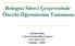 Bologna Süreci Çerçevesinde Önceki Öğrenmenin Tanınması. Süheyda Atalay 1. Ulusal Sürekli Eğitim Kongresi 19-21 Nisan 2012 Kuşadası - İZMİR