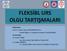 FLEKSİBL URS OLGU TARTIŞMALARI