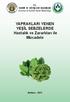 T.C. TARIM VE KÖYİŞLERİ BAKANLIĞI Koruma ve Kontrol Genel Müdürlüğü. YAPRAKLARI YENEN YEŞİL SEBZELERDE Hastalık ve Zararlıları ile Mücadele