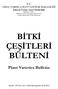 BİTKİ ÇEŞİTLERİ BÜLTENİ