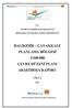 BALIKESİR ÇANAKKALE PLANLAMA BÖLGESİ 1/100 000 ÇEVRE DÜZENİ PLANI ARAŞTIRMA RAPORU