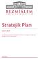 Stratejik Plan 2015-2019