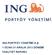 ING PORTFÖY YÖNETİMİ A.Ş. 1 OCAK-31 ARALIK 2013 DÖNEMİ FAALİYET RAPORU