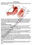 PEPTİK ÜLSER Gastrit Peptik ülser Etiyopatogenezi: H. Pylori ve peptik ülser ile ilişkisi: Aspirin ve diğer NSAID lerin kullanımı: