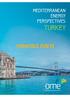 MEDITERRANEAN ENERGY PERSPECTIVES TURKEY YÖNETİCİ ÖZETİ