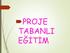 PROJE TABANLI EĞİTİM