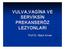 VULVA,VAGİNA VE PREKANSERÖZ LEZYONLARI. Prof.Dr. Macit Arvas