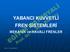 YABANCI KUVVETLİ FREN SİSTEMLERİ