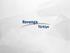 REVENGA TÜRKİYE. 2007 yılında kurulan şirketimiz; bilgi teknolojisi, telekomünikasyon ve demiryolu sistemleri sektörlerinde faaliyet göstermektedir.
