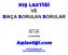 KIŞ LASTİĞİ VE SIKÇA SORULAN SORULAR ALPAY LÖK MAK.Y.MÜH 6 KASIM 2006. kışlastiği.com. www.kislastigi.com www.wintertyreturkey.com