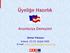 Üyeliğe Hazırlık. Avusturya Deneyimi. Stefan Pistauer Ankara, 22./23. Şubat 2005 E-mail: stefan.pistauer@eu.austria.be