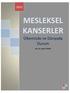 MESLEKSEL KANSERLER. Ülkemizde ve Dünyada Durum. Doç. Dr. Engin TUTKUN