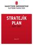 STRATEJÝK PLAN 2013-2017