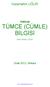 Nizamettin UĞUR. Ocak 2012, Ankara TÜRKÇE TÜMCE (CÜMLE) BĠLGĠSĠ. -Ders Notları (Özet)- www.nizamettinugur.gen.tr