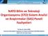 NATO Bilim ve Teknoloji Organizasyonu (STO) Sistem Analizi ve Araştırmalar (SAS) Paneli Faaliyetleri