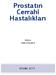 Prostatın Cerrahi Hastalıkları