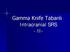 Gamma Knife Tabanlı Intracranial SRS - II-