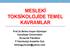 MESLEKİ TOKSİKOLOJİDE TEMEL KAVRAMLAR