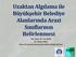 Uzaktan Algılama ile Büyükşehir Belediye Alanlarında Arazi Sınıflarının Belirlenmesi