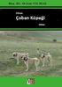 Veni Vidi Vici Yayınevi. Dünya Çoban Köpeği Irkları Doç. Dr. Orhan YILMAZ zileliorhan@gmail.com. Editör: Prof. Dr. Mehmet ERTUĞRUL