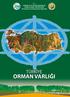 T.C. ORMAN VE SU İŞLERİ BAKANLIĞI ORMAN GENEL MÜDÜRLÜĞÜ Orman İdaresi ve Planlama Dairesi Başkanlığı TÜRKİYE ORMAN VARLIĞI