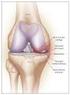 Diz Osteoartritinde Ultrason ve K sa Dalga Diatermi Tedavilerinin Karfl laflt r lmas