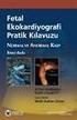 ELEKTRONİK FETAL KALP HIZI MONİTÖRİZASYONU: NORMAL MONİTÖR, FETAL STRES, FETAL DİSTRES İLE İLİŞKİLİ ERKEN NEONATAL SONUÇLAR ( UZMANLIK TEZİ )