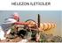 HELEZON İLETİCİLER 1