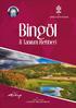 KÜNYE İÇİNDEKİLER ÖNSÖZ SUNUŞ BİNGÖL... BİNGÖL HAKKINDA... GENEL BİLGİLER YERYÜZÜ ŞEKİLLERİ... BİNGÖL HAVALİMANI...