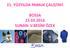 21. YÜZYILDA PAMUK ÇALIŞTAYI BOSSA 23.03.2016 SUNAN: V.BESİM ÖZEK