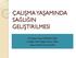 ÇALIŞMA YAŞAMINDA SAĞLIĞIN GELİŞTİRİLMESİ. Dr. Özkan Kaan KARADAĞ (MD) İş Sağlığı (Halk Sağlığı) Uzmanı (MSc) Kamu Yönetimi Uzmanı (MSc)