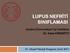 LUPUS NEFRİTİ SINIFLAMASI. Ankara Üniversitesi Tıp Fakültesi Dr. Saba KİREMİTCİ