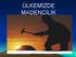 ÜLKEMİZDE MADENCİLİK. Aslı ÇELİK / 2008201020