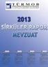 SİRKÜLER RAPOR MOTORLU TAŞITLAR VERGİSİ GENEL TEBLİĞİ. (Seri No:33)