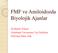 FMF ve Amiloidozda Biyolojik Ajanlar. Dr Rahmi Yilmaz Hacettepe Üniversitesi Tıp Fakültesi Nefroloji Bilim Dalı