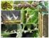 Bingöl İli Yeşil Alanlarında Kullanılan Odunsu Bitkiler ve Kullanım Amaçları. Woody Plants Used in Green Spaces of Bingöl City and Their Use Aims