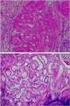 DOES THE GASTRIC MUCOSAL EOSINOPHIL CONCENTRATION SHOW SEASONAL VARIATIONS?