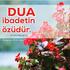 Dua. Dua, ibadetin özüdür. (Hadis, Tirmizi, Daavat 1).