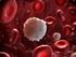 LÖKOSİT. WBC; White Blood Cell,; Akyuvar. Lökosit için normal değer : Lökosit sayısını arttıran sebepler: Lökosit sayısını azaltan sebepler: