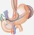 Endoscopic ultrasonography in cancer staging for gastrointestinal malignancies